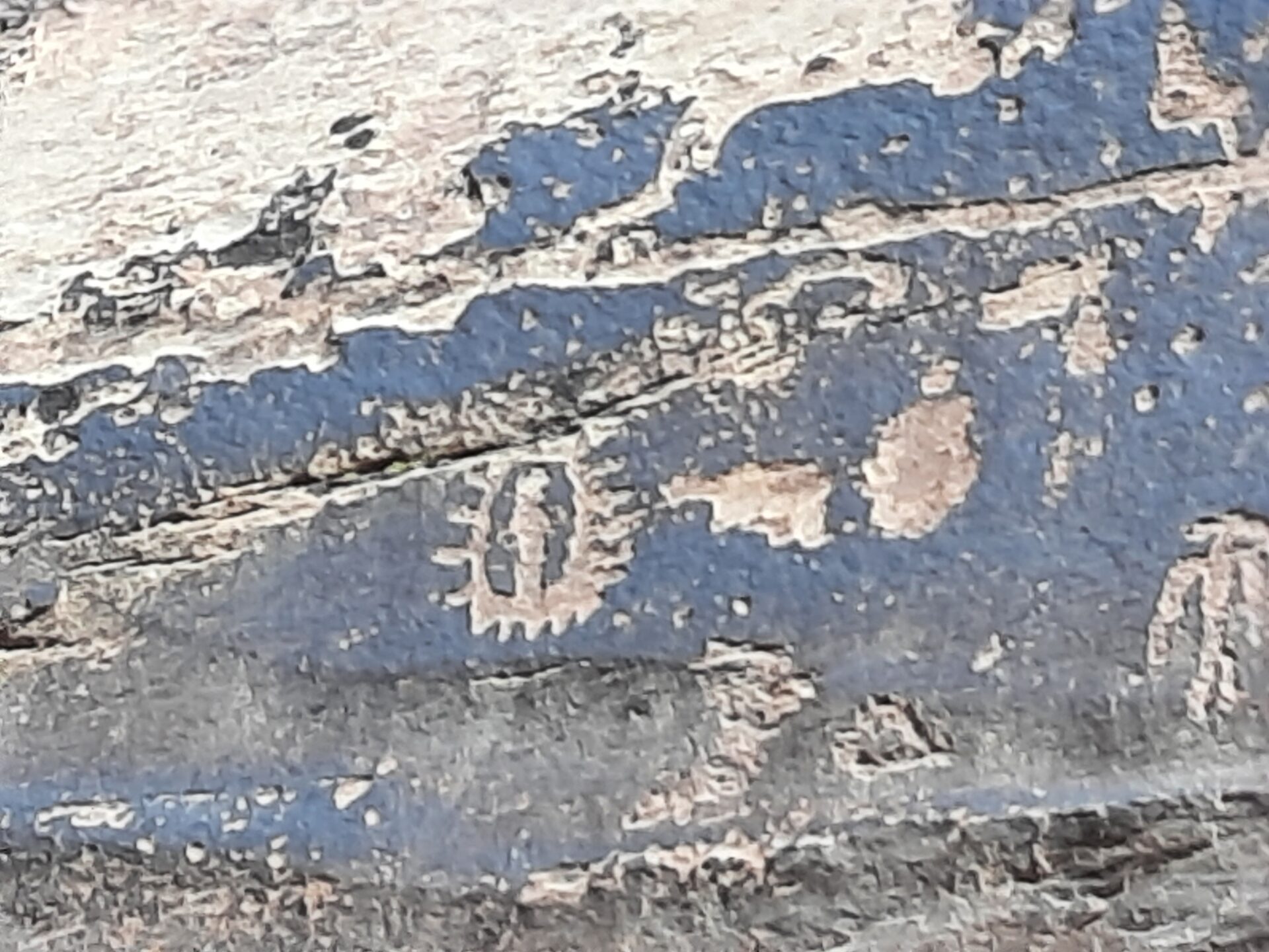 20220527_094521 20220527_094521