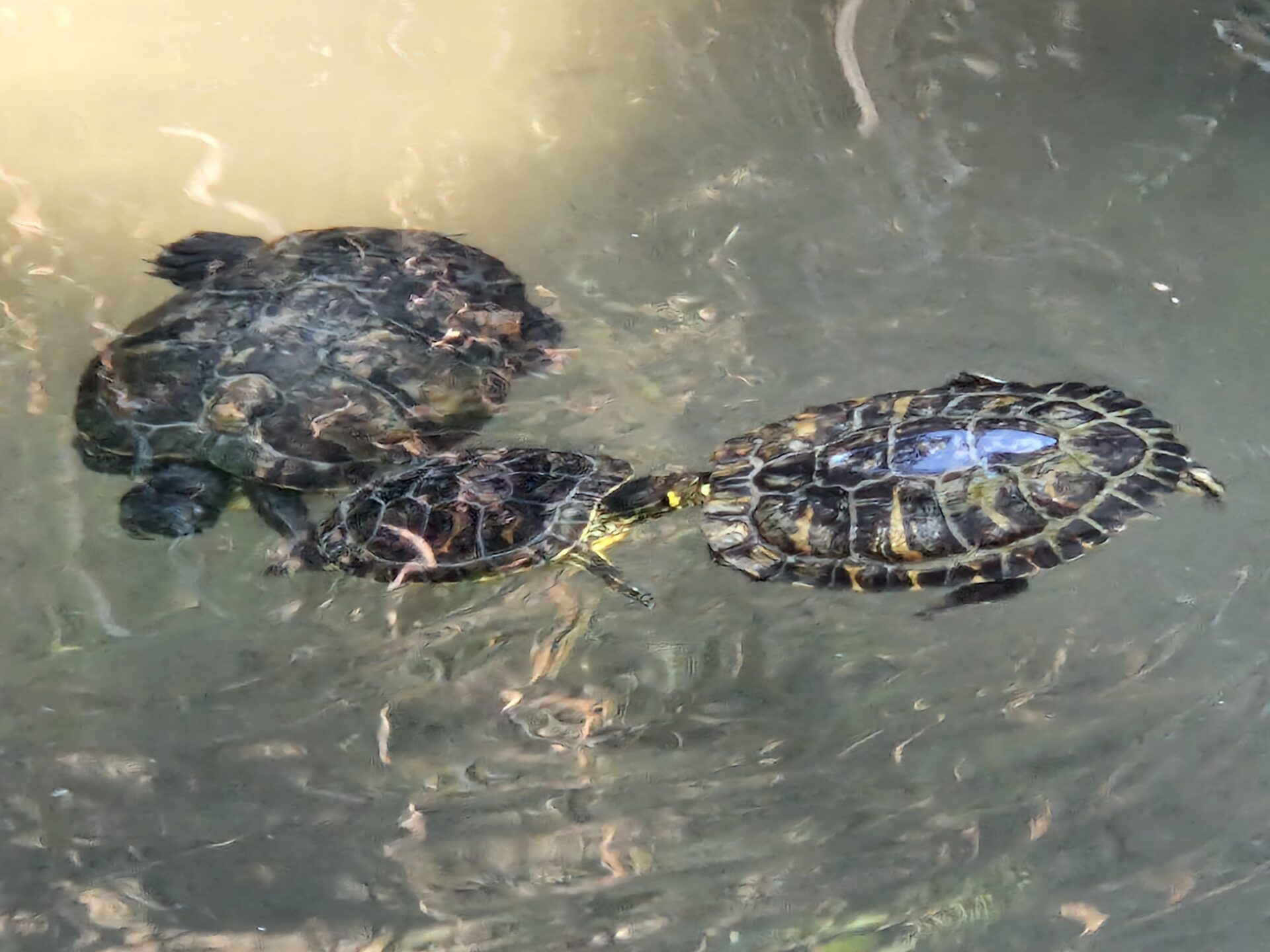 20240925_113413 - Kopie