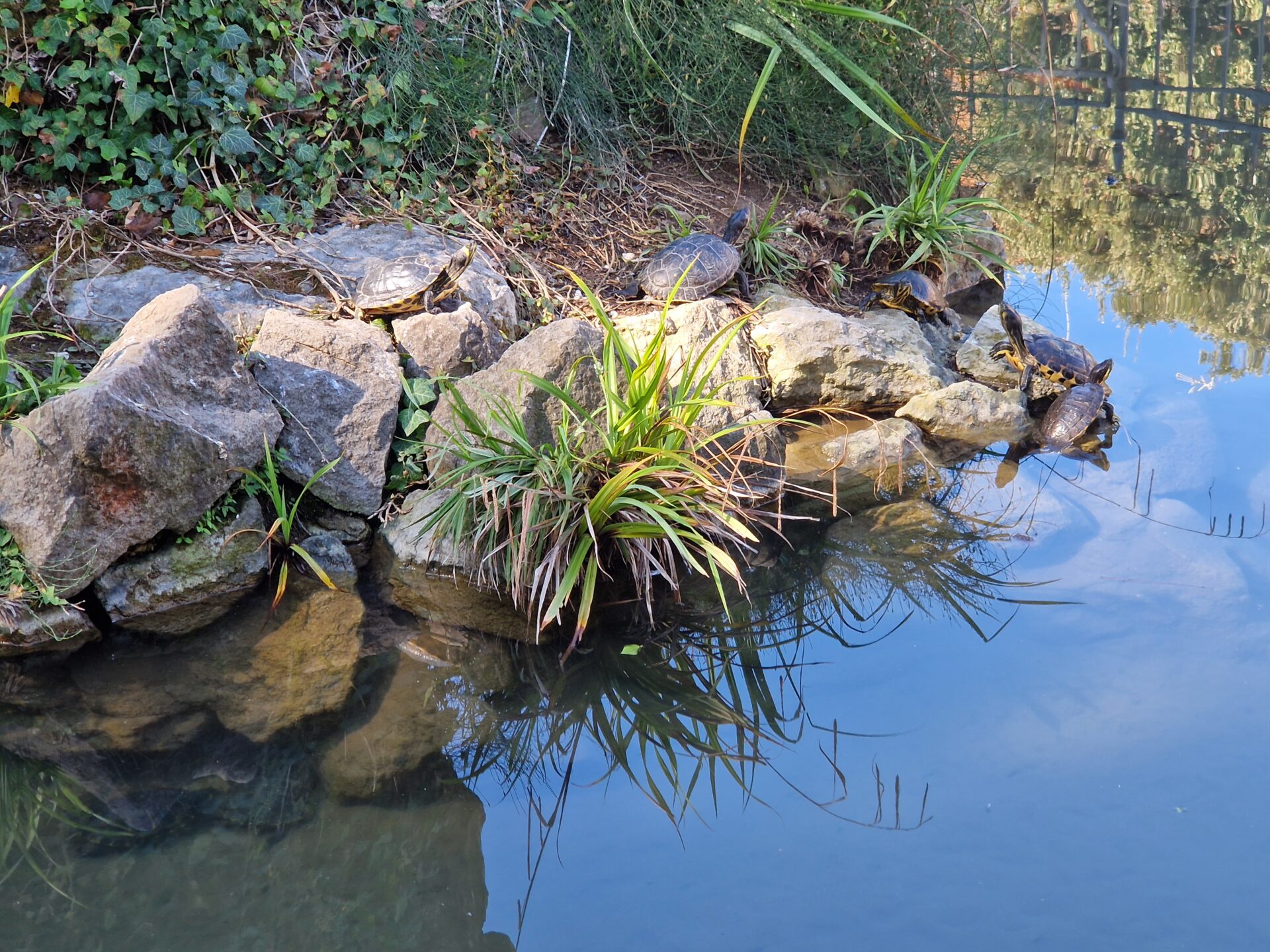 20240925_113531 - Kopie