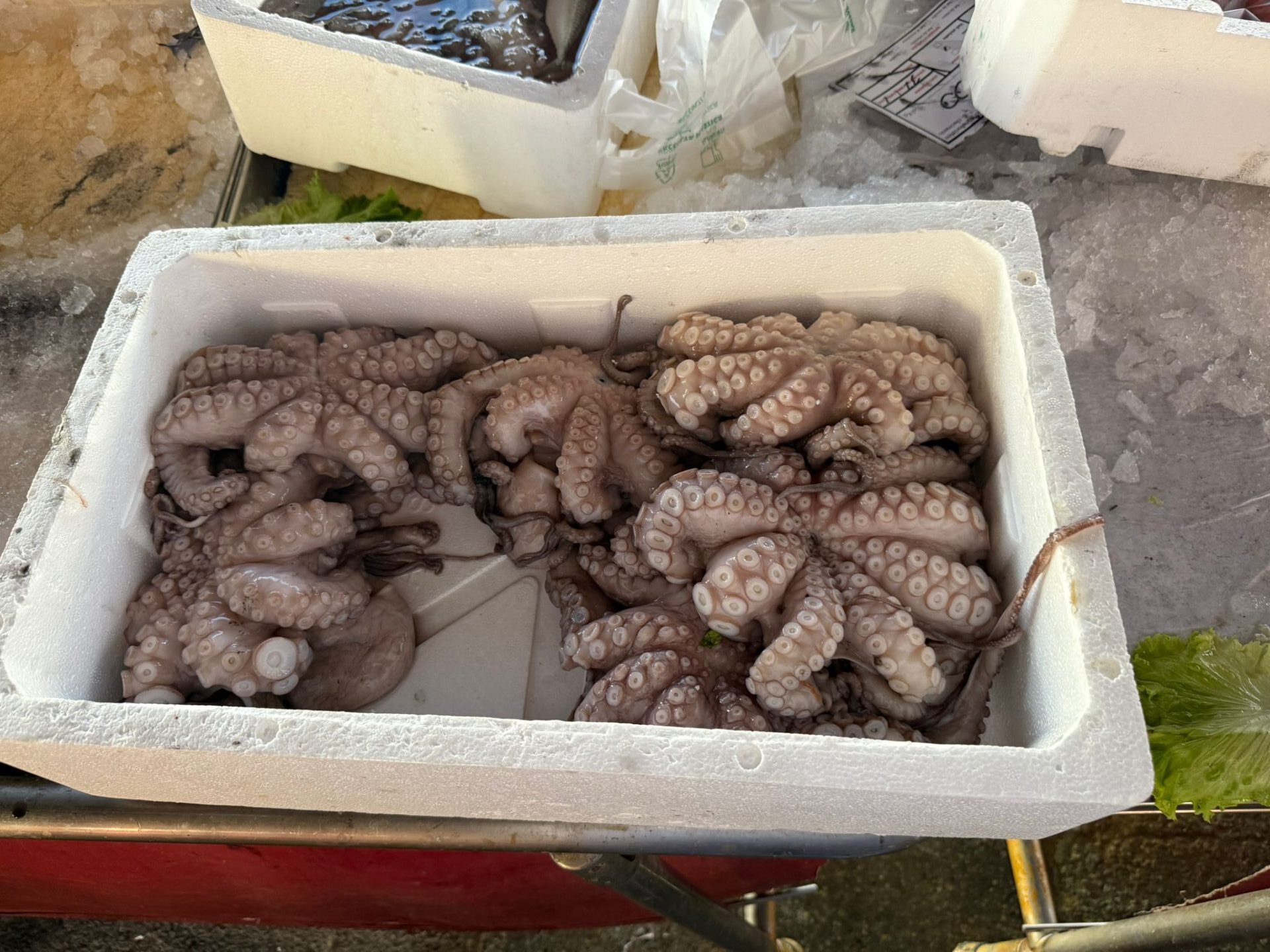 IMG-20250927-WA0202 IMG-20250927-WA0202